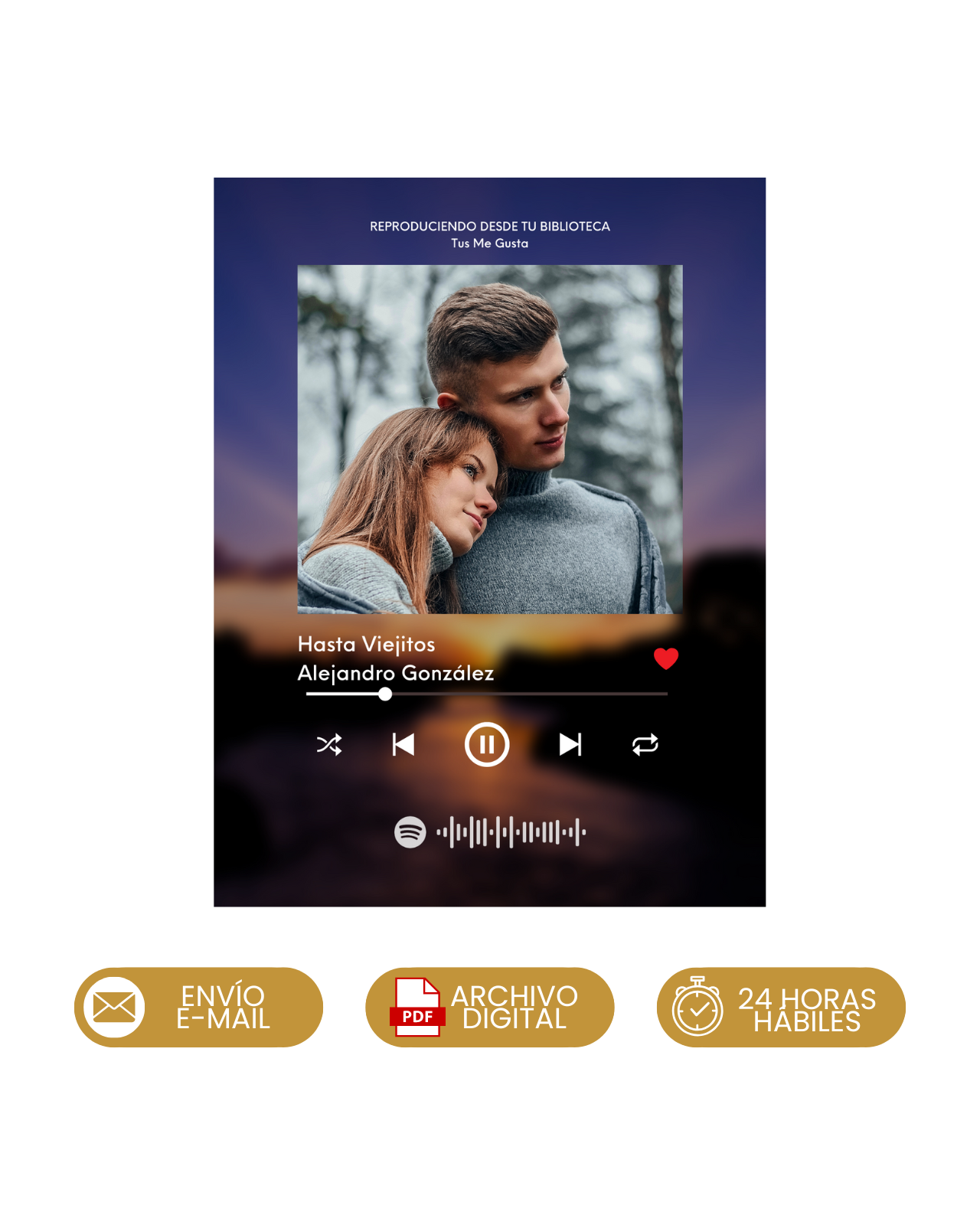 Spotify Frame (DIGITAL)
