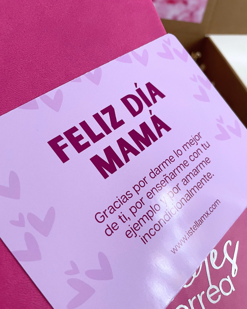Gift Box Mamá #2 (Kit Profesional)