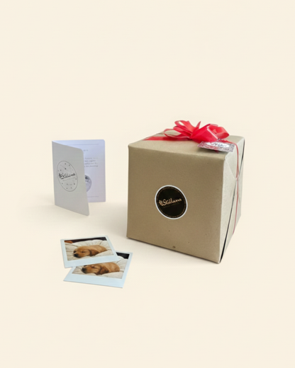 Lámpara Luna RGB (Touch) 15 cm diámetro con Foto de Mascota